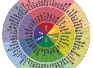 Veronique Gouwy - Manque-moi, mais vis en couleurs