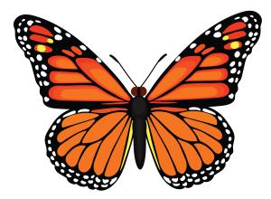 C’est ma vision de l’amour