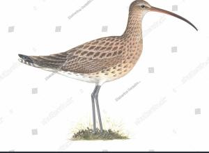 Le temps a filé, mais une chose demeure: