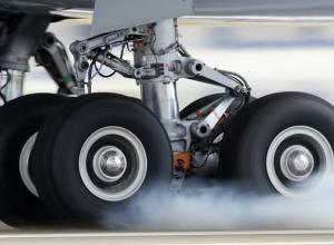 croisé deux fois le même arbre