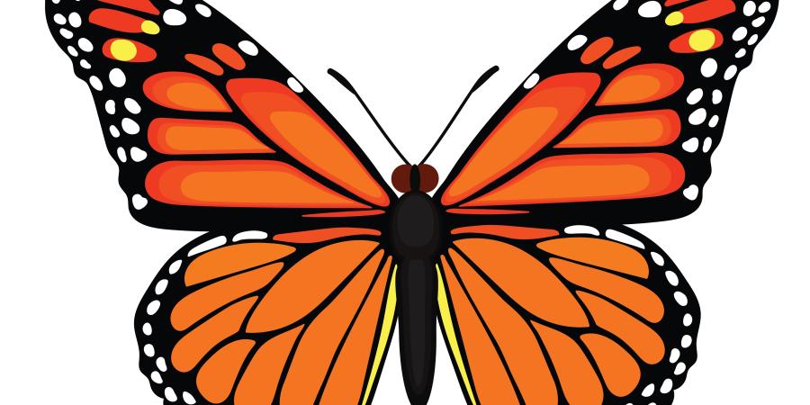 C’est ma vision de l’amour