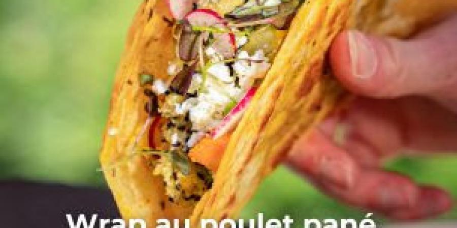 Wraps au poulet