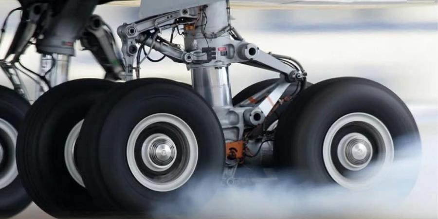 croisé deux fois le même arbre