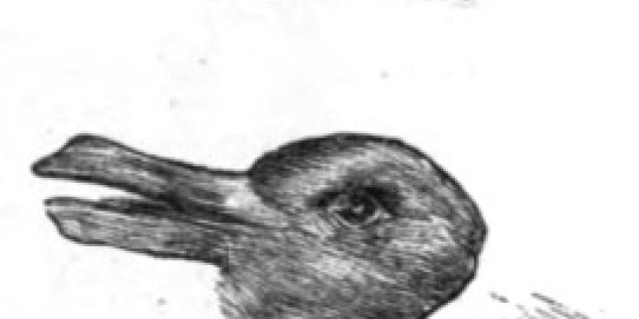 Canard-lapin